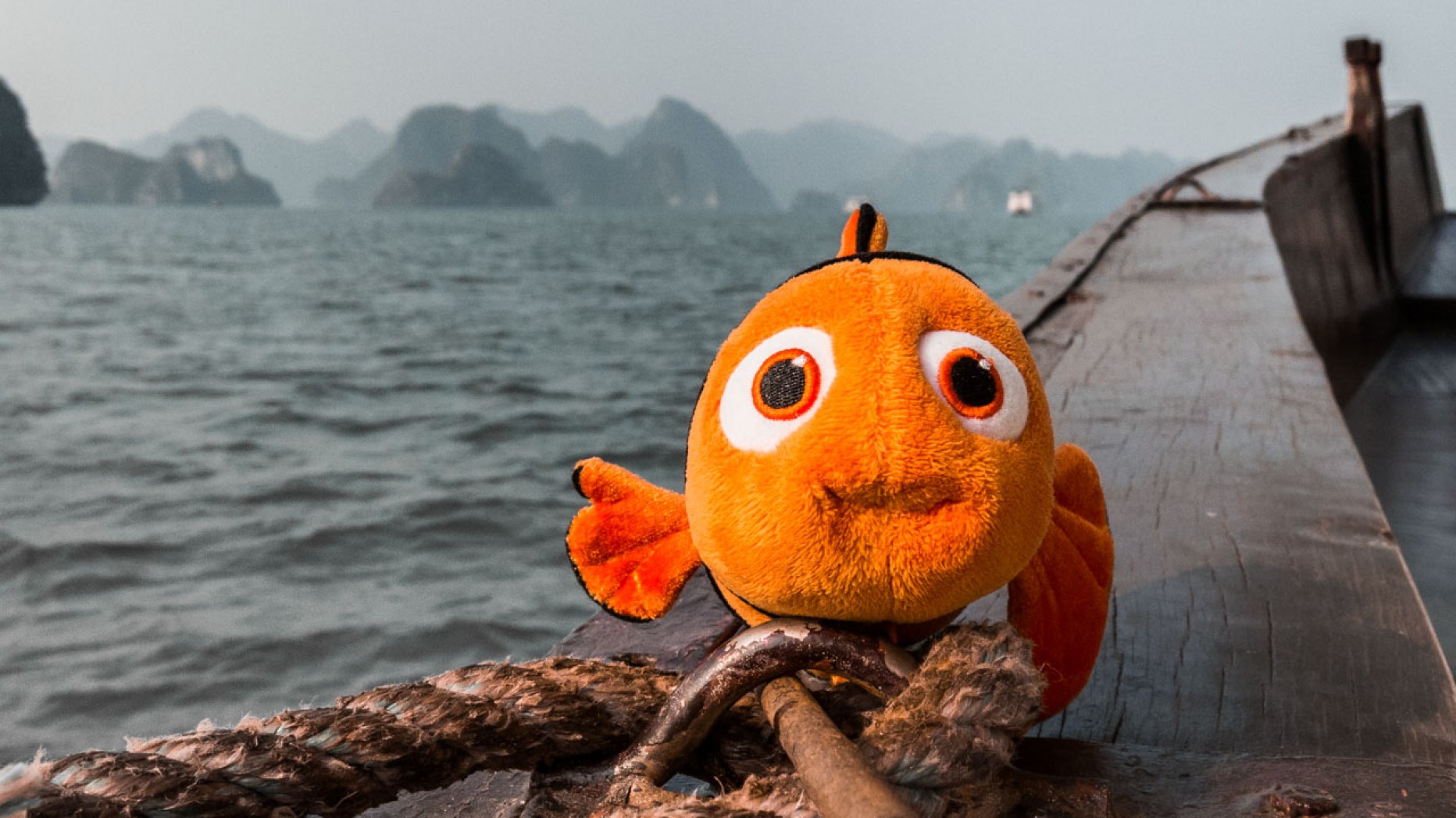 Nemo à la baie de Ha-Long