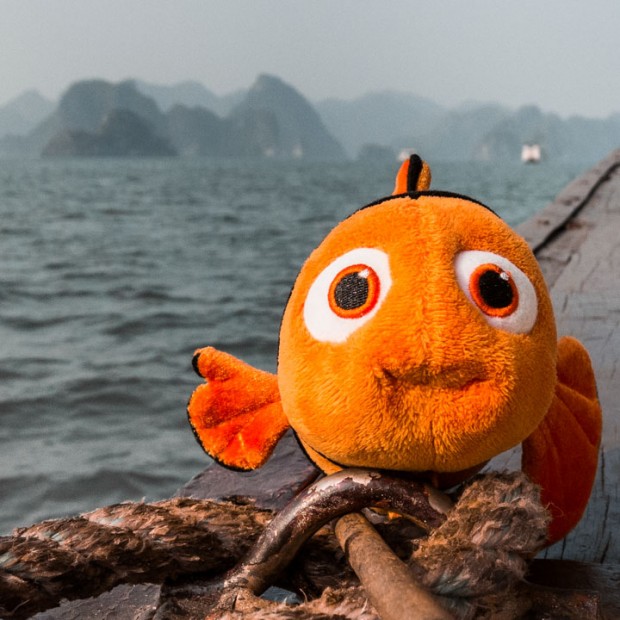 Nemo à la baie de Ha-Long